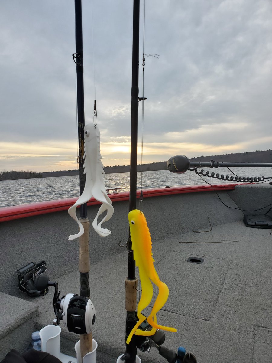 Great day #musky fishing during our fall classic trip at the #cottage #getoutdoors #muskyfishing