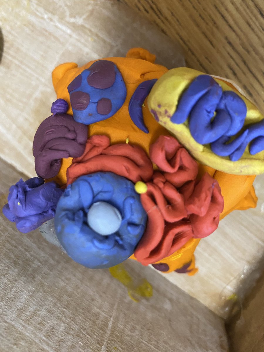 Miss Wright tweet media