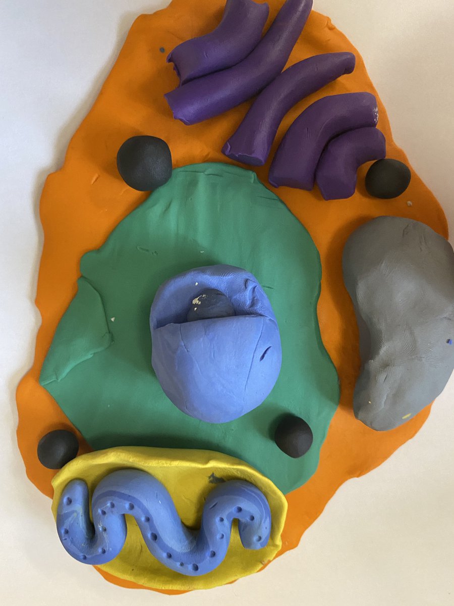 Miss Wright tweet media