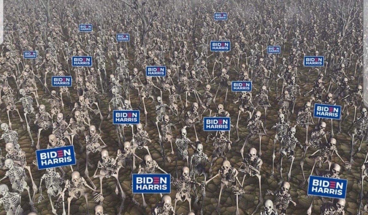 ExceptionL's tweet photo. Biden has been in politics so long that many of his supporters are dead 😂😂😂 #BidenHarris2020 #Election2020 #ElectionResults2020 https://t.co/mtQIRTKH6r