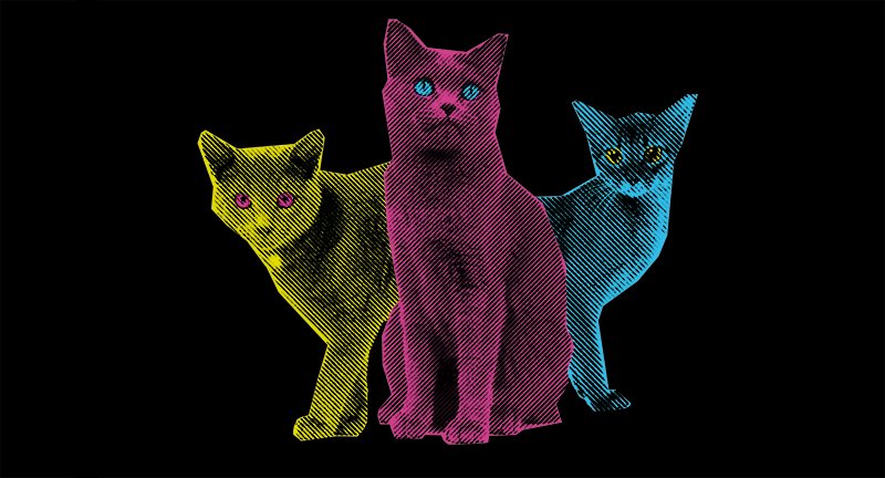 This is another real proposal to send a message of fear 10,000 years into the future. There is even a documentary on it:  http://www.theraycatsolution.com/&nbsp;  https://twitter.com/ben_spigel/status/1324358776154132481