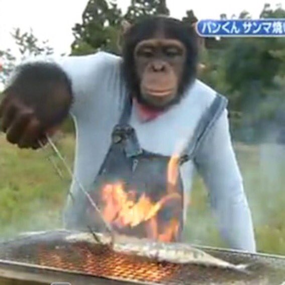 chimp on the BBQ - 12/10 