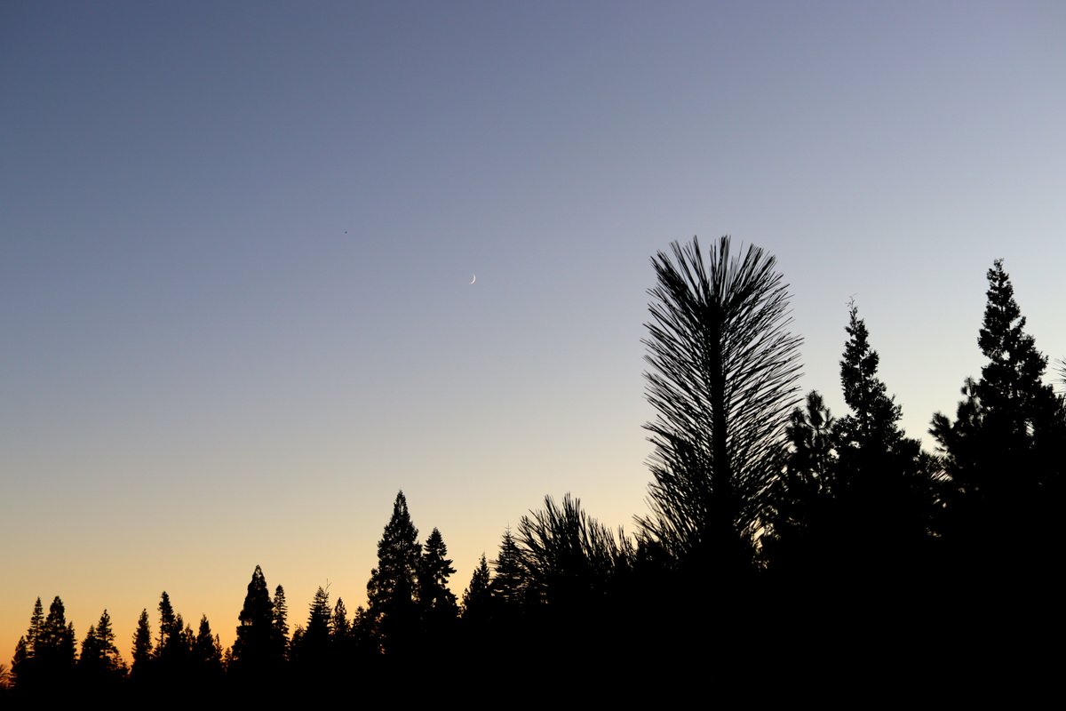 Anyway, that's it from me. I had a blast on this trip. Check us out at  https://forestobservatory.com/&nbsp; and at  https://salo.ai/&nbsp;. Thanks much for the feature,  @BW and  @valleyhack!