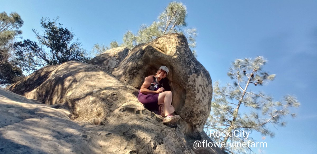 FlowervineMom's tweet photo. I went on a fun run thru Rock City on Mt. Diablo this morning, checked off more trails. 👍
#trailrunnertracy #trailrunning #mtdiablo #RockCity #ContraCosta #backcountrypatrol #mountainrunner https://t.co/yMP3WD0Wdb