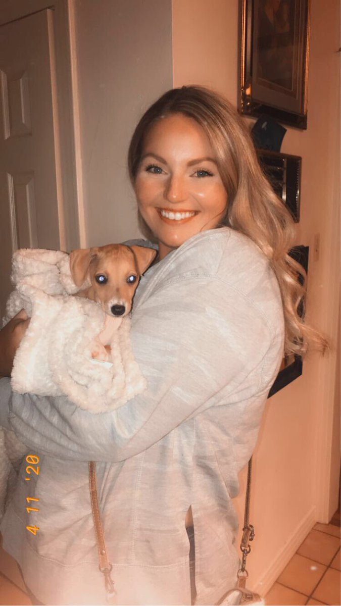 codiwithani's tweet photo. So I adopted this sweet baby yesterday and he is literally my whole world. 💗 #GusGus #italiangreyhound #adoptdontshop https://t.co/ThQLDTIwHm
