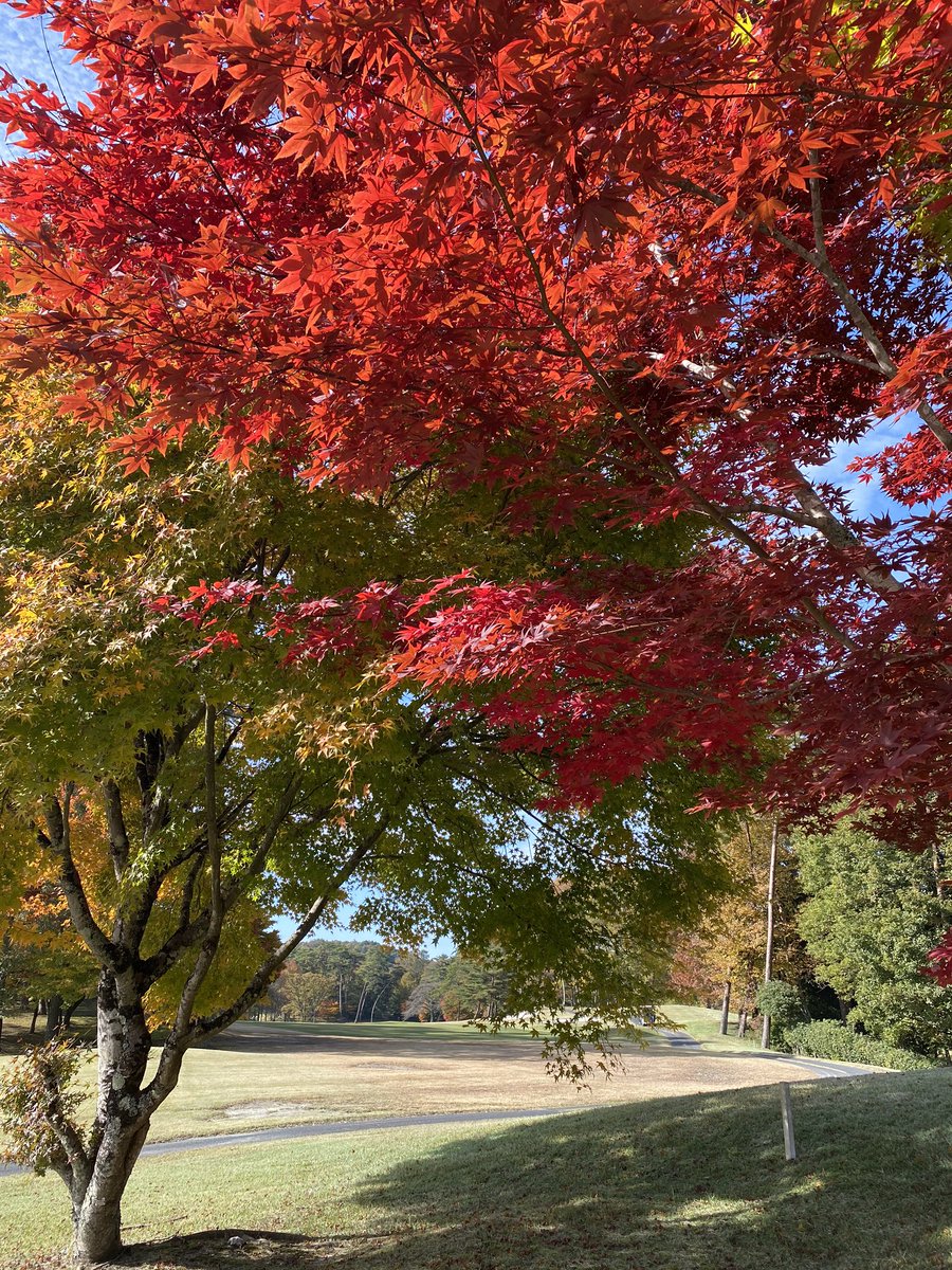 the59752676's tweet photo. 紅葉が綺麗。

スタートします。

本日はフルで撮影します。 https://t.co/041YsXpu4z