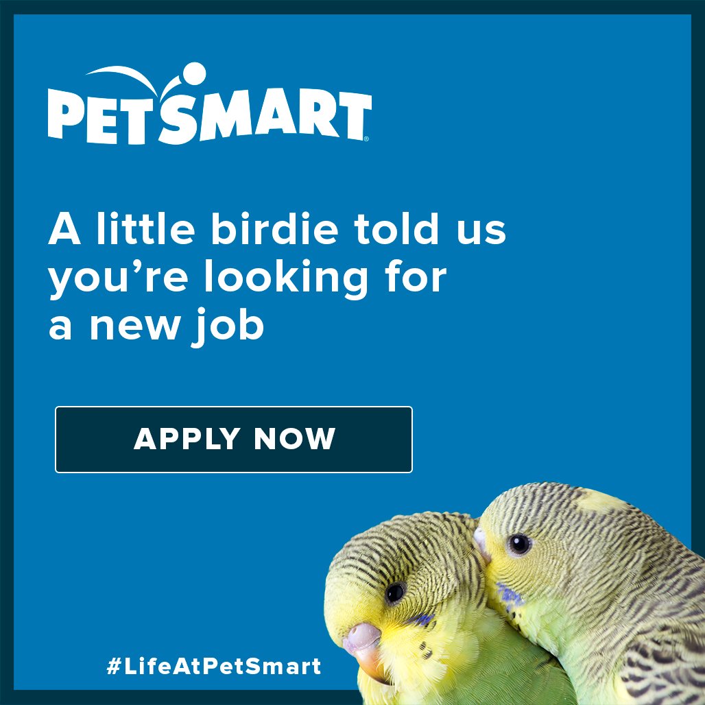 Empower yourself to go further, fly higher, and make the most out of your career. Join the passion within #LifeAtPetSmart by applying today at careers.petsmart.com. #ForTheLoveOfPets