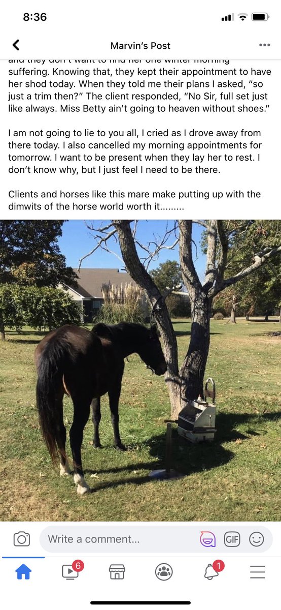 Knees2NoseBasis's tweet photo. 😭😭 https://t.co/XPPX7DGoDw