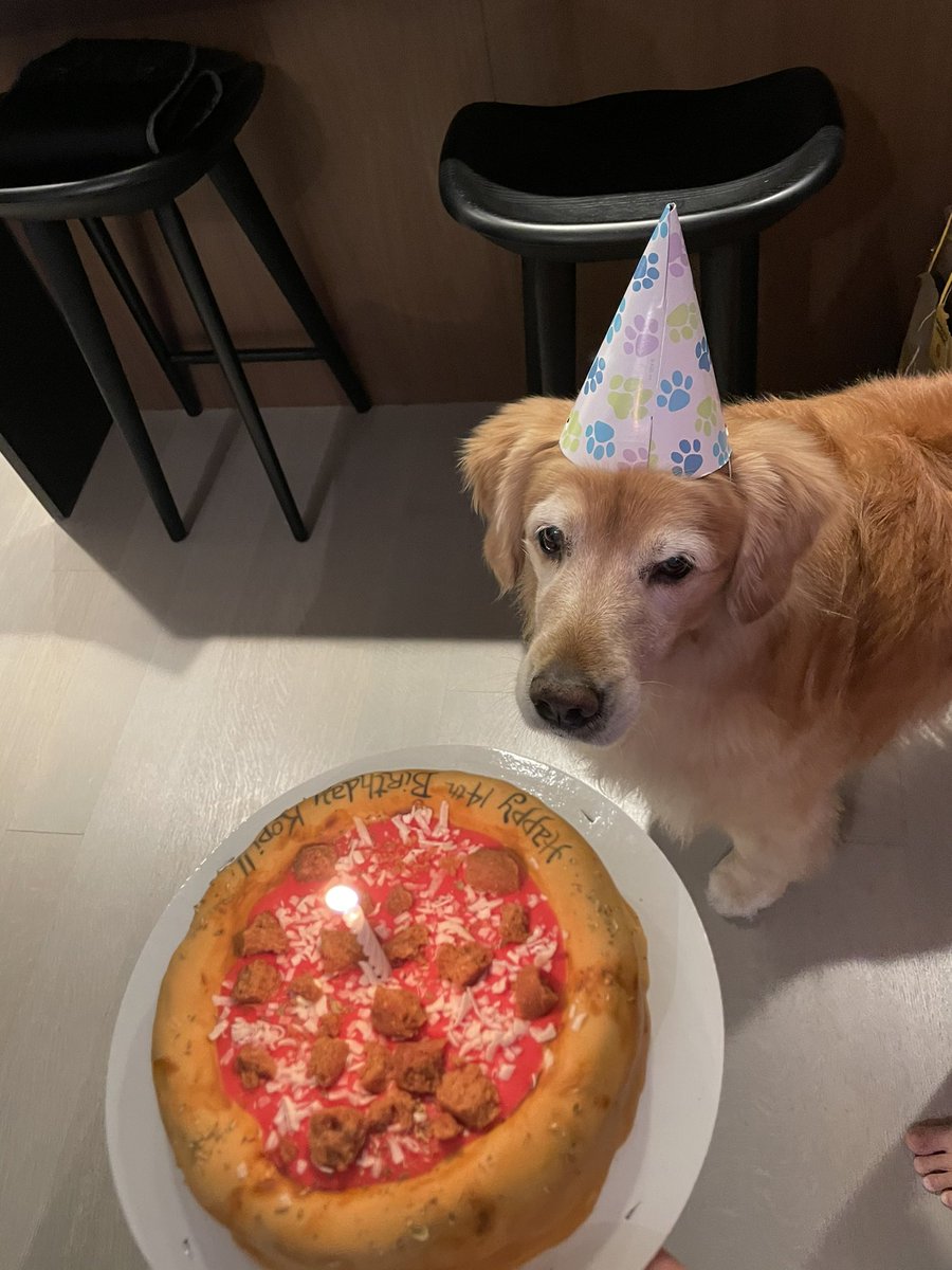 Thinks Wife tweet media