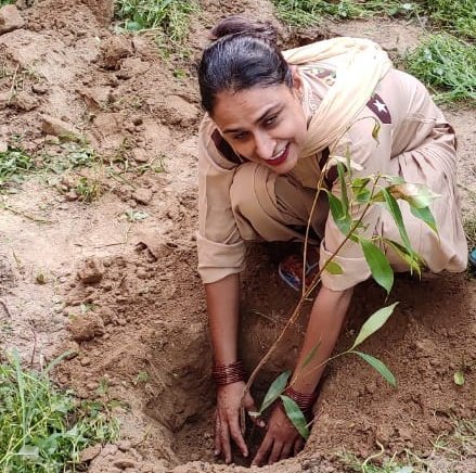 jasvinderinsan2's tweet photo. Saint Dr. @Gurmeetramrahim Ji
started work of tree plantation many years ago under this initiative by the followers of @derasachasauda millions of trees have been planted..
#WelfareIsMyPassion https://t.co/0Fp8zHlBpc