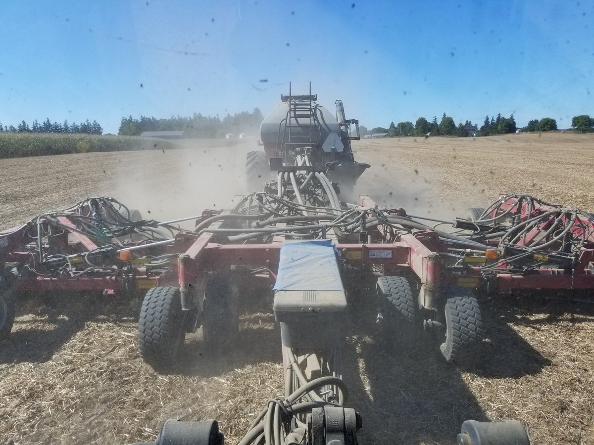 stanleyadam89's tweet photo. @aaron_stevanus @MicroEssentials Does a first experience with @MicroEssentials going with some srww seed still count ?! 😁 #MICROESSENTIALSCOFFEETALK https://t.co/4nYVFI2nTG
