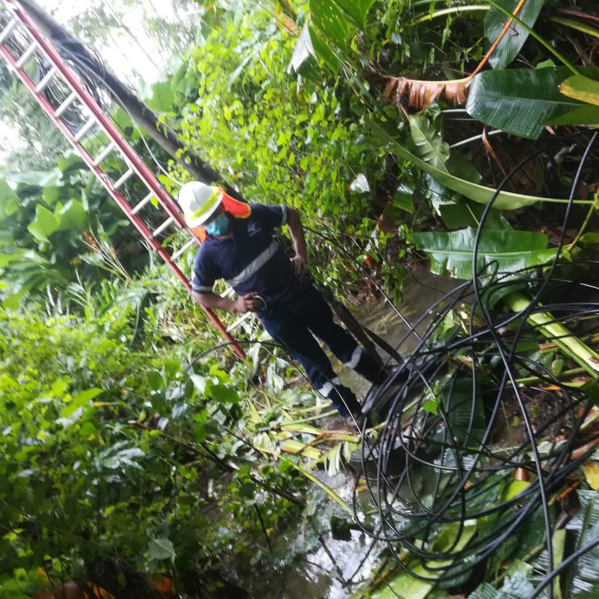 rodiehl's tweet photo. Orgulloso de estos héroes que hoy lo dieron todo en Paso Canoas #contigopanama https://t.co/E2YuVeqUSl