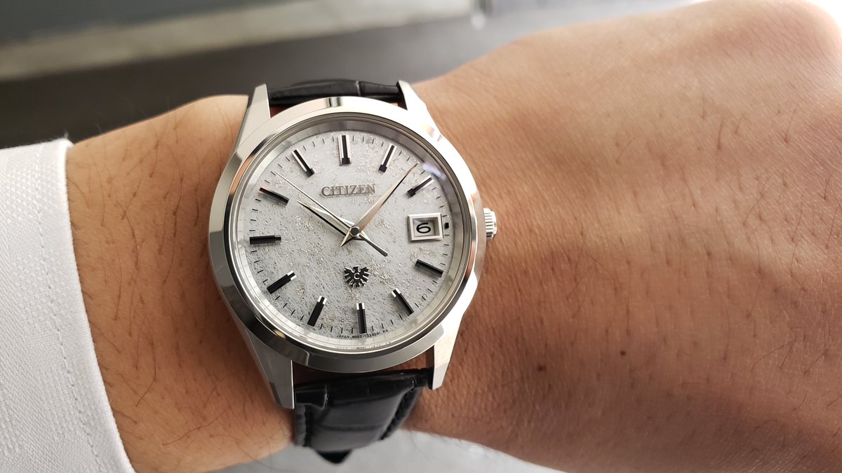 The CITIZEN ザ・シチズンAQ4070-05A 25周年限定350本 販売価格