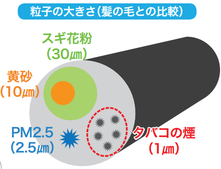 まるこ マスクでウイルス防げない 粒子とマスク穴の大きさ比較 スギ花粉30mm 黄砂10mm 飛沫5mm Pm2 5は2 5mm タバコの煙1mm以下 細菌1mm ウイルス0 1mm 0 02mm 100nm nm サージカルマスクの穴5mm ウイルスの50倍 Mm マイクロメートル