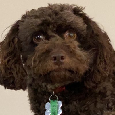 ayushim_'s tweet photo. #NewProfilePic https://t.co/vX0Qne1e0n