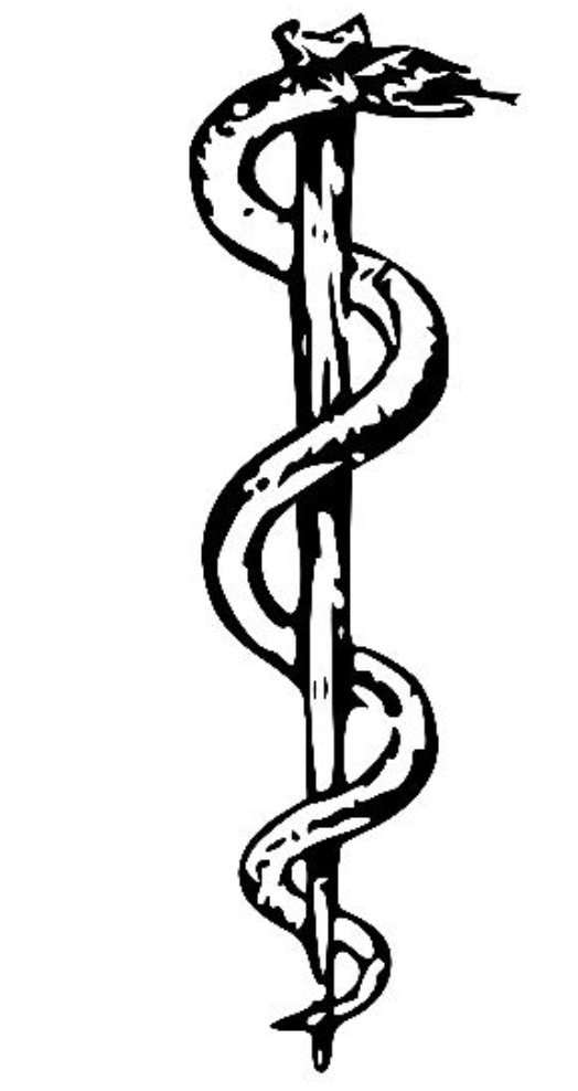 While many may just think of Asklepios for his staff of medicine seen today, he played a huge role in Ancient Rome, and these stories really do “give life to the lifeless marble statues that people usually associate with ancient Greece and Rome” as Tzonous says.