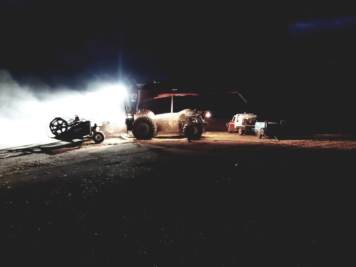 boekemans's tweet photo. Talk about a SHOT! 📸🙌🏼 
This one was sent in by Corey Mincherton, from Ballidu, for our  #BoekemansSpringShots competition.

We love this time of year, and we'll take any chance we can to show off harvest 2020 in the best parts of WA. 😉 What do you reckon about Corey's snap? https://t.co/fMc8zN9NaV
