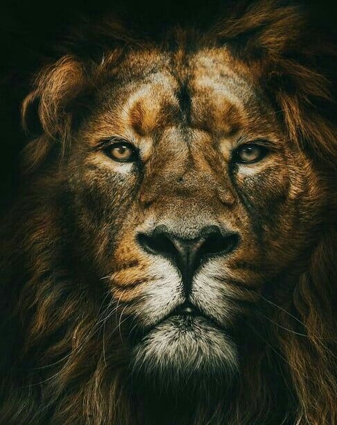 Aruviiii's tweet photo. ஒருநாள் வெற்றி உனக்கான அடையாளம் அல்ல...
பல நாள் தோல்வி அவமானமும் அல்ல...

எனில்
அனைத்தும் அனுபவம் எனக்கொள்க...😎 https://t.co/8OZPthD8o9