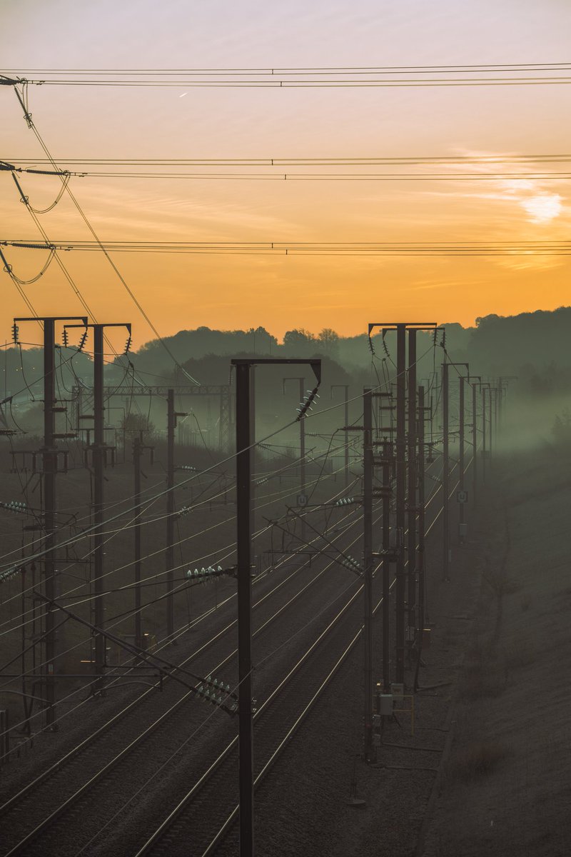 Some of my favourite photos I've ever taken, all taken within an hour yesterday morning.