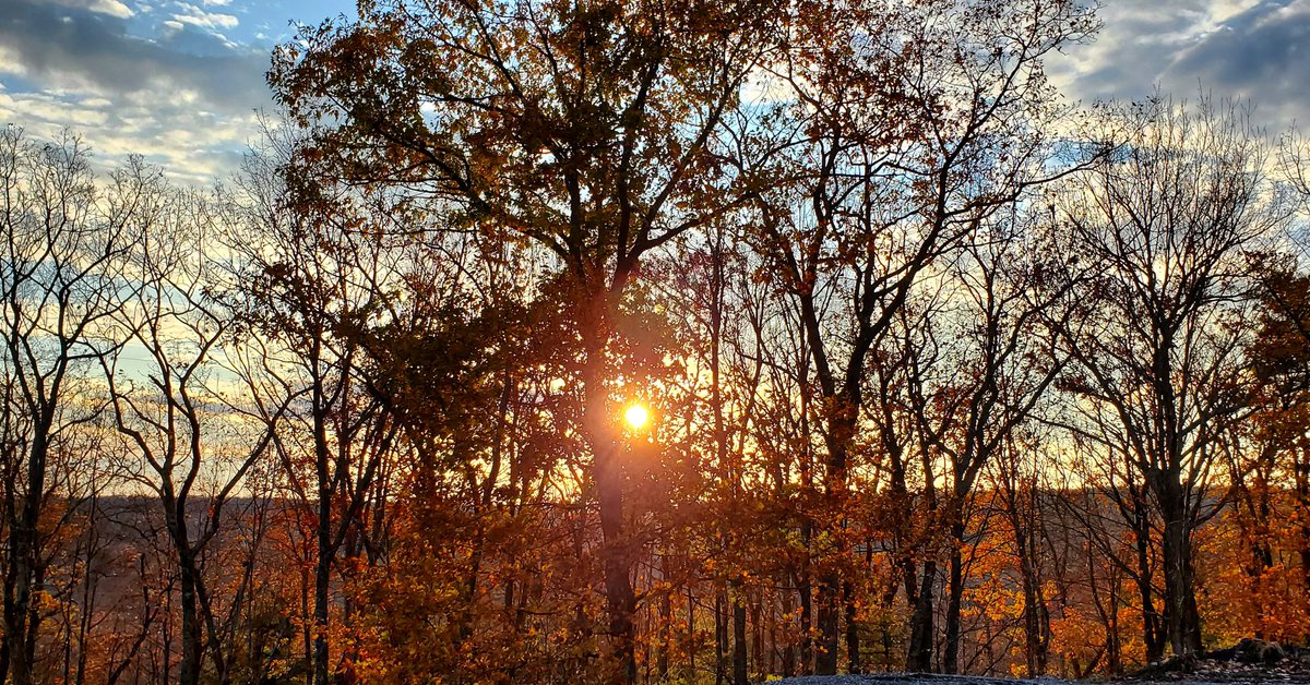 Sarah O'Fee tweet media