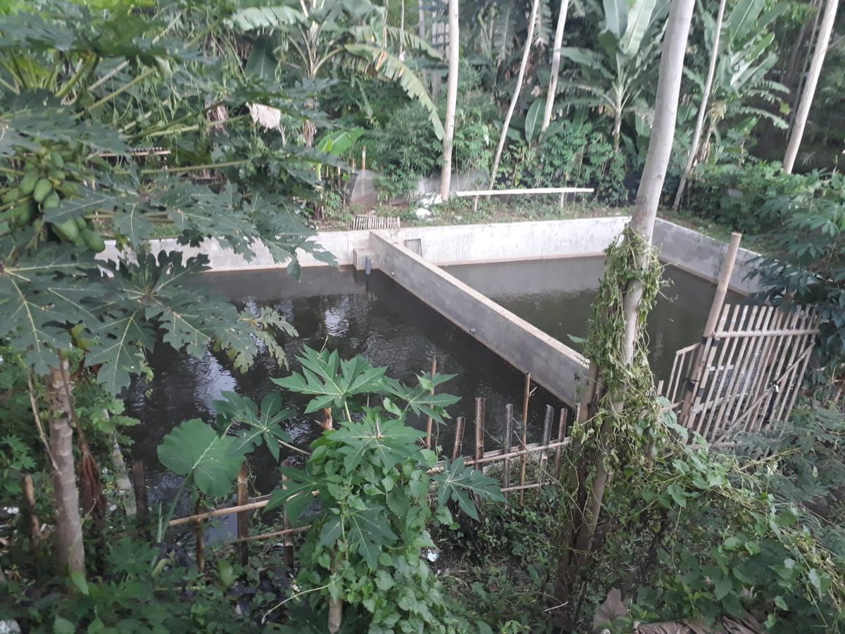 Perikanankabmlg's tweet photo. 5 nov 2020 bidang pengeolaan pembudidaya ikan melakukan Survay lokasi kegiatan budidaya ikan di kelompok Maju Jaya Makmur di desa Tanggung Kec. Turen.
survey dilakukan untuk Mengetahui komoditas ikan yg dibudidayakan pada kelompok Maju Jaya Makmur https://t.co/sGwPzgNchZ