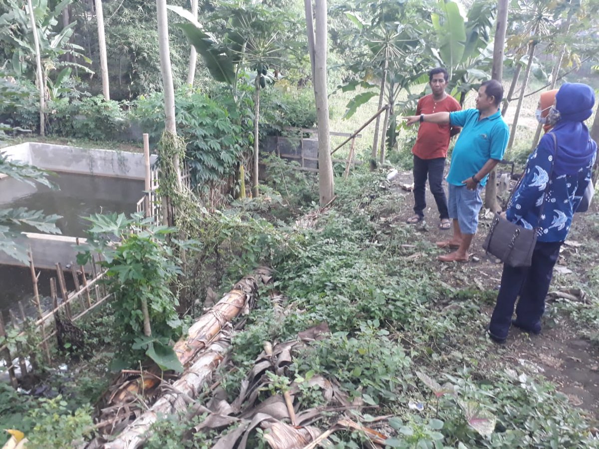 Perikanankabmlg's tweet photo. 5 nov 2020 bidang pengeolaan pembudidaya ikan melakukan Survay lokasi kegiatan budidaya ikan di kelompok Maju Jaya Makmur di desa Tanggung Kec. Turen.
survey dilakukan untuk Mengetahui komoditas ikan yg dibudidayakan pada kelompok Maju Jaya Makmur https://t.co/sGwPzgNchZ