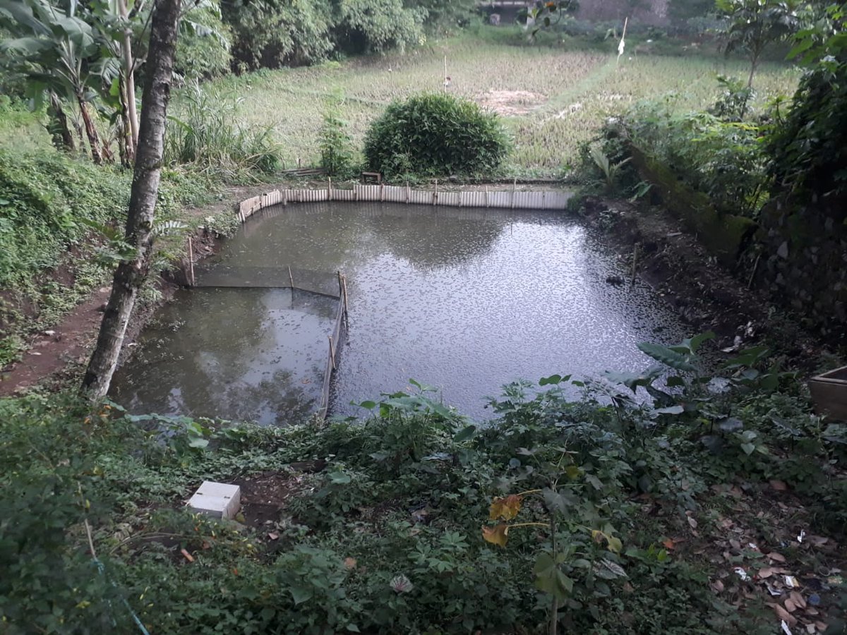 Perikanankabmlg's tweet photo. 5 nov 2020 bidang pengeolaan pembudidaya ikan melakukan Survay lokasi kegiatan budidaya ikan di kelompok Maju Jaya Makmur di desa Tanggung Kec. Turen.
survey dilakukan untuk Mengetahui komoditas ikan yg dibudidayakan pada kelompok Maju Jaya Makmur https://t.co/sGwPzgNchZ