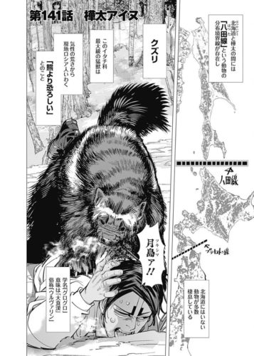 ゴールデンカムイにも出てたらしいね。
クズリ。 