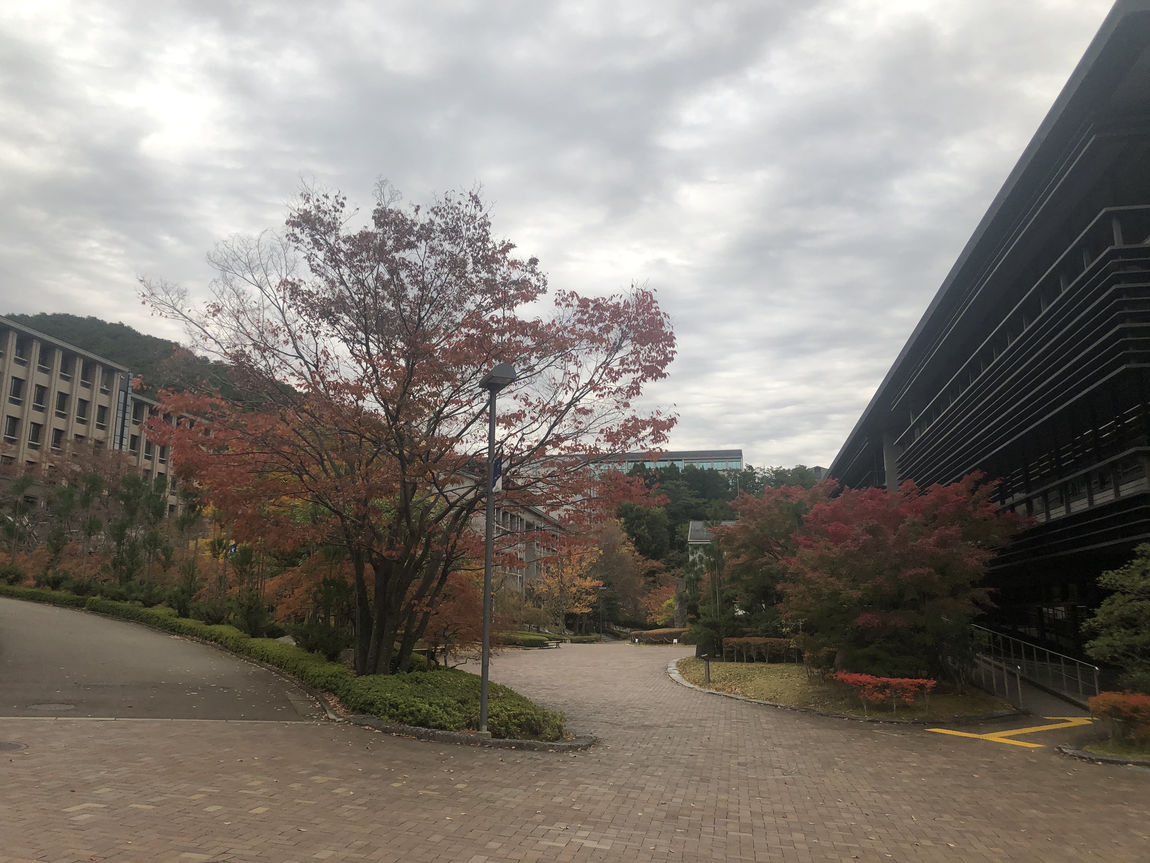京都産業大学 公式 むすぶくん On Twitter 朝晩が寒くなってきましたね 本日は曇り空 ですがキャンパス内の 紅葉 もだいぶ色づいてきました みなさん体調くずさないようにしましょう 寒いの苦手 でも朝の寒い空気が好き 神山 京都産業大学 Https T