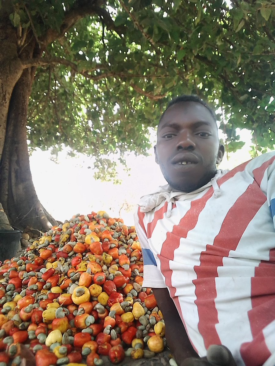 Saffi (@saffi25016785) on Twitter photo 