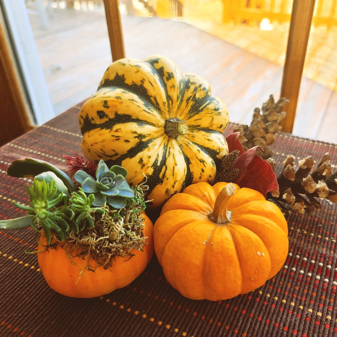 DMCConnected's tweet photo. With the holidays coming up soon, why not try incorporating a little bit of nature into your decorative table display? #GivingThanks #NatureDecor #Connected https://t.co/krqYAlEMWr