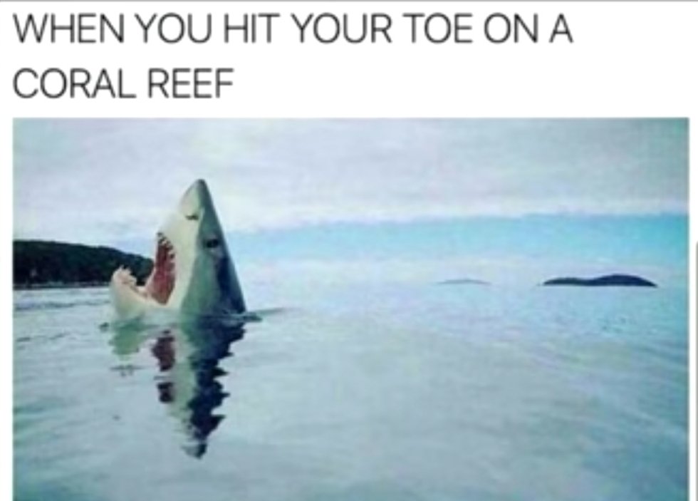 MaskedTruth8's tweet image. 