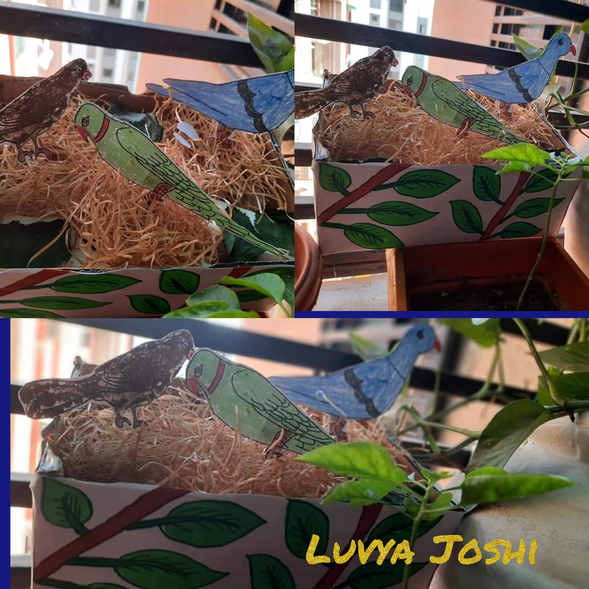 LuvyaJoshi's tweet photo. @KajariaPLY #TyohaarWaalaGhar @KajariaPLYโค๏ธ #GetFestiveReady
Here's my decoration for balcony.
I am getting little bit creative this time, and instead of spending money using my creativity skills.
@JadhavDipak212
@acidkidrock
@ChinmayaNaik09
@dadofbonhisha https://t.co/3H5Vin8zQf