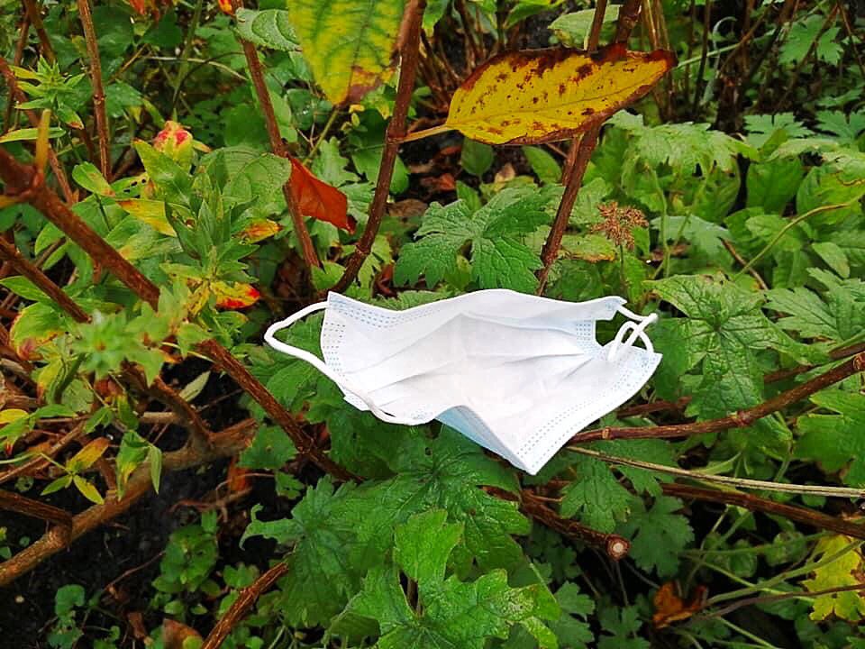 6 november.
Vandaag is het de Internationale Dag tegen Schade aan de Natuur tijdens Oorlog en Gewapende Conflicten....hele mond vol....wat mij betreft mag het elke dag, ook zonder Oorlog en Gewapende Conflicten, een Dag tegen Schade aan de Natuur zijn....
#lockdown #savingnature