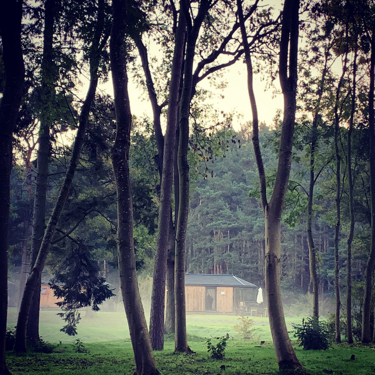 Every season adds a hint of magic to Riverside, we love watching it change as the months pass, it’s hard to pick a favourite... #enjoylife #seasons #planahead #winteriscoming #bookahead #staycation #shortbreaks #fun #shropshire #visitshropshire #riverside