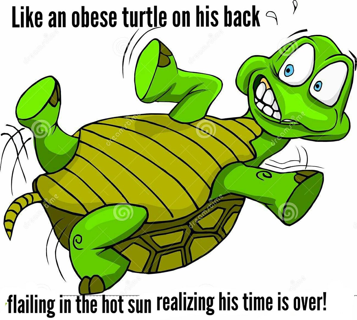 ZoetSanny's tweet photo. Héérlijk! Is hier al een geniale cartoon van?
#ToonvanDriel kom dr maar in!
#obeseturtle https://t.co/rLm0kWVXnM