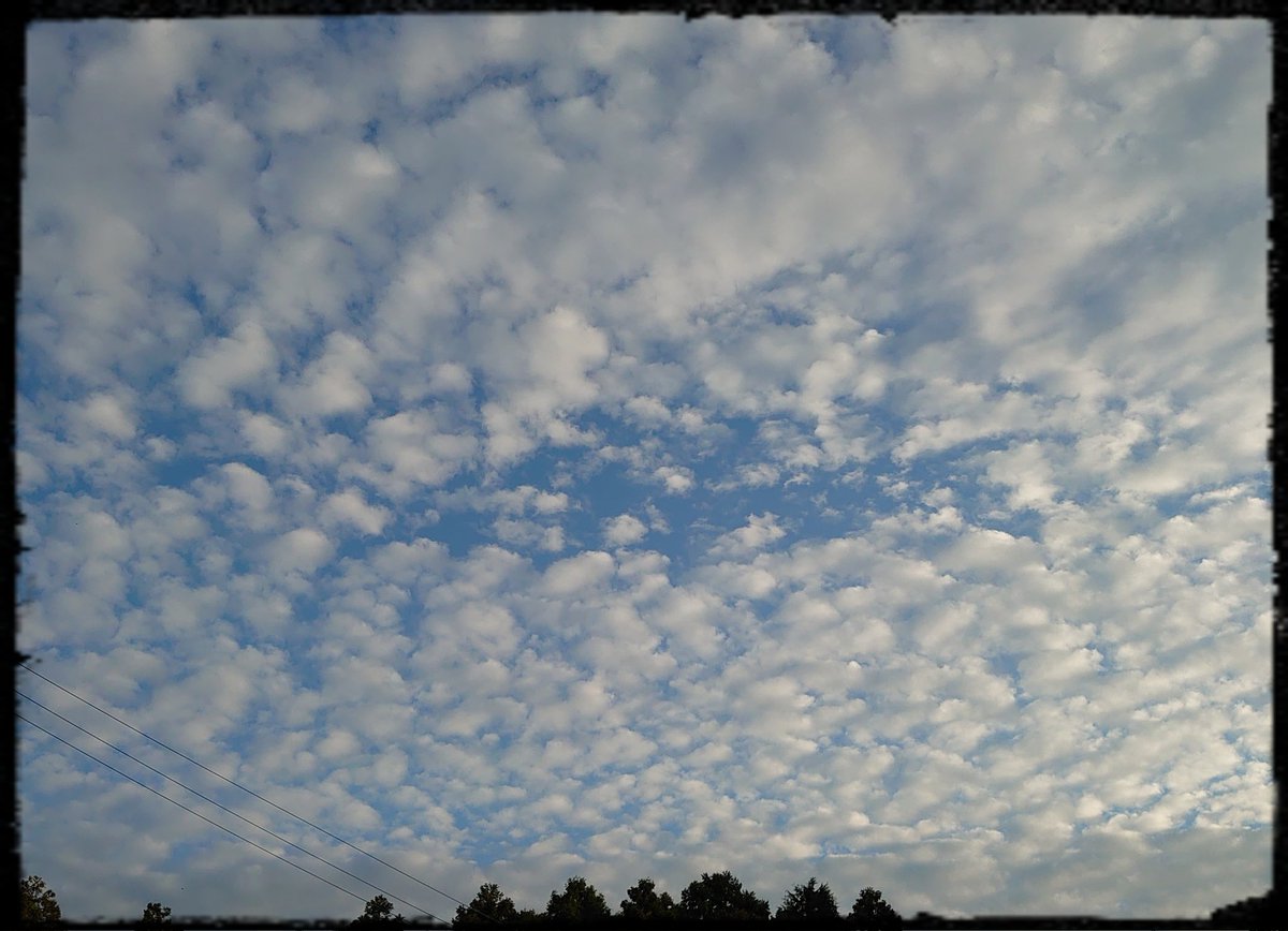 見上げた空が素敵でした ひつじ雲 うろこ雲 いわし雲 名称は分かりませんが 秋によく見る形です 日の出 雲 夕焼けなど 空を見るのが昔から好きでしたね 子供の頃 雷雨の時 稲光見るために 窓に張り付いてました そんなことを思い出した 明日以降の予約が
