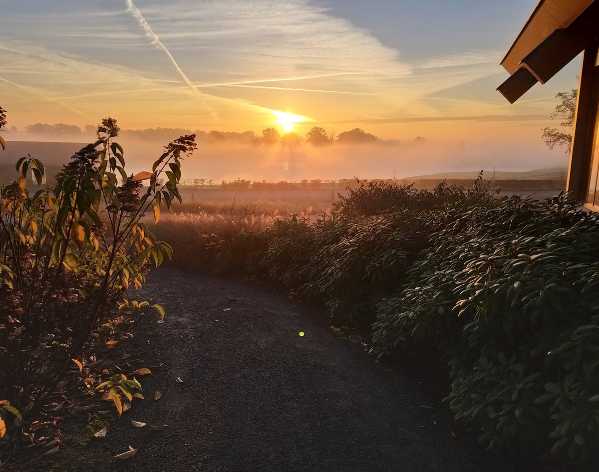 Golfbaan Swinkelsche tweet media