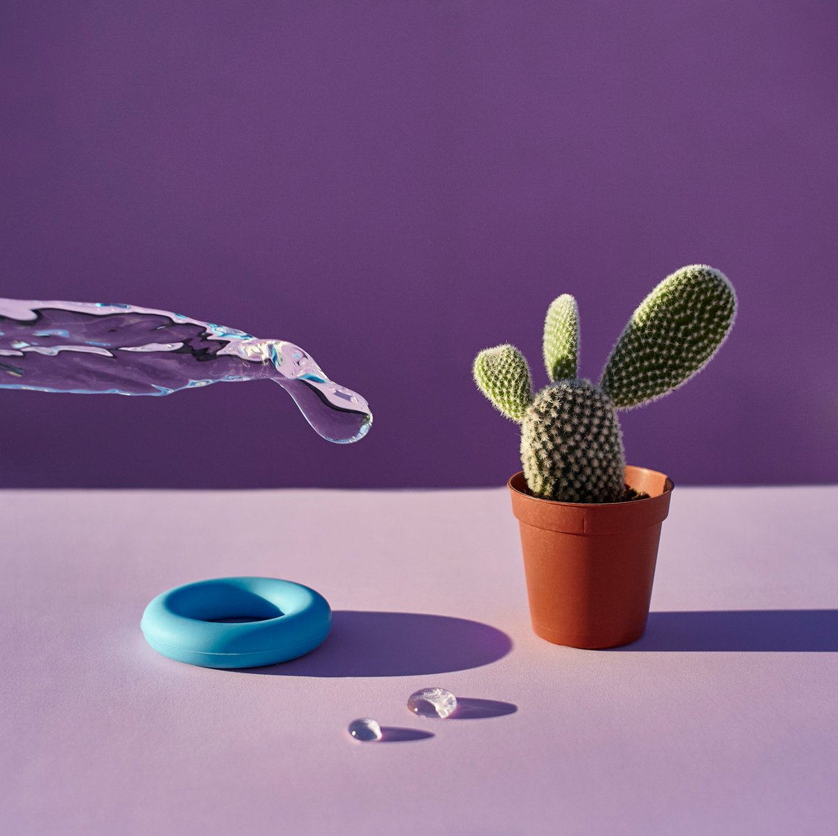 PhotoSuricato's tweet photo. Hope
#cactus #hope #stilllife #highspeedphotography https://t.co/jMsh6r8AC2