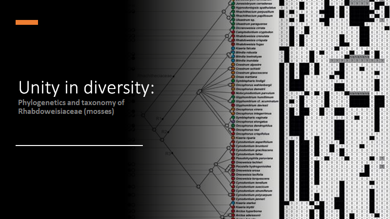 BotJLinnSoc's tweet photo. Unity in diversity: #phylogenetics and #taxonomy of #Rhabdoweisiaceae (#Dicranales, #Bryophyta)
Fedosov et al. #Mosses #Bryophytes #ParallelEvolution #Morphology #MolecularPhylogenetics https://t.co/dg5b30NbYH https://t.co/FOjT4dMYXa