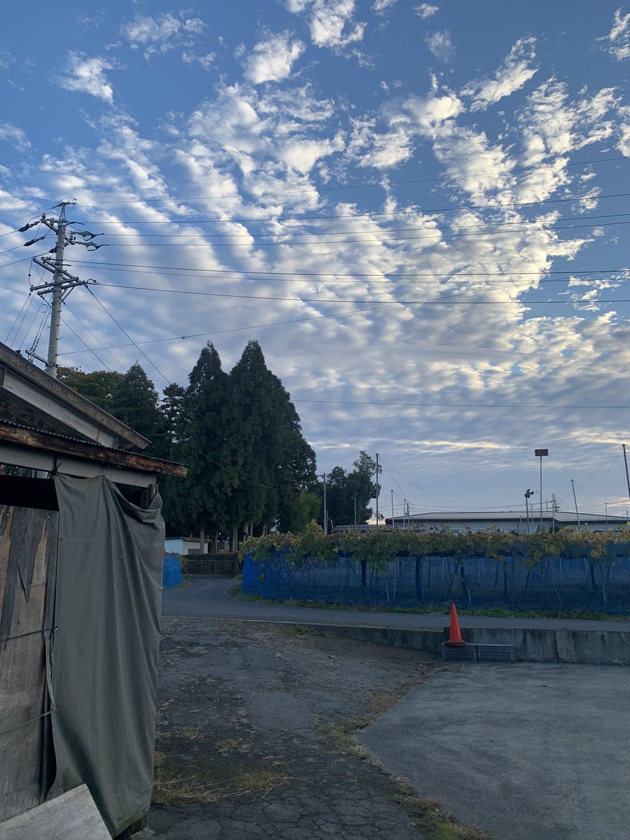 めちゃめちゃ秋空の信州です。