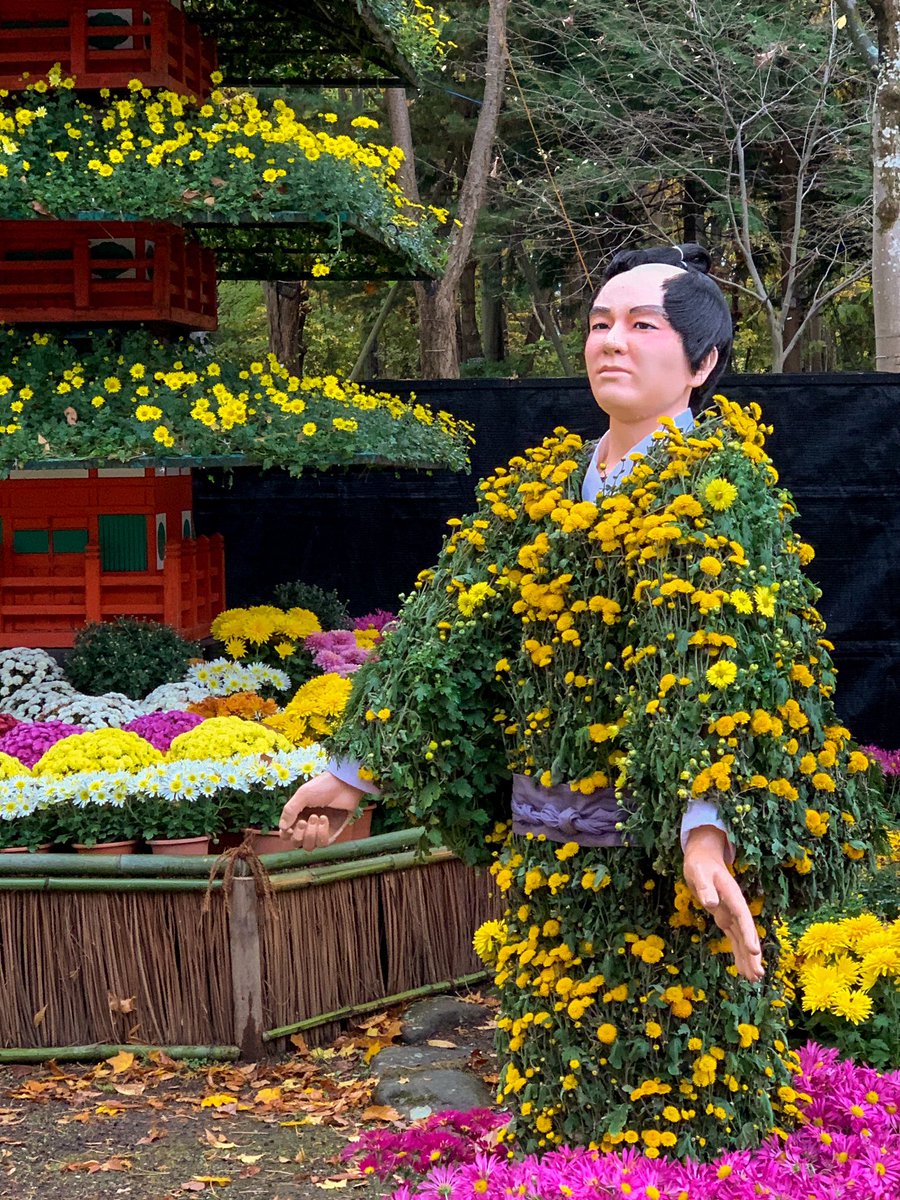 しげぞう 菊人形見ると 映画犬神家の一族の地井武男さんを思い出します