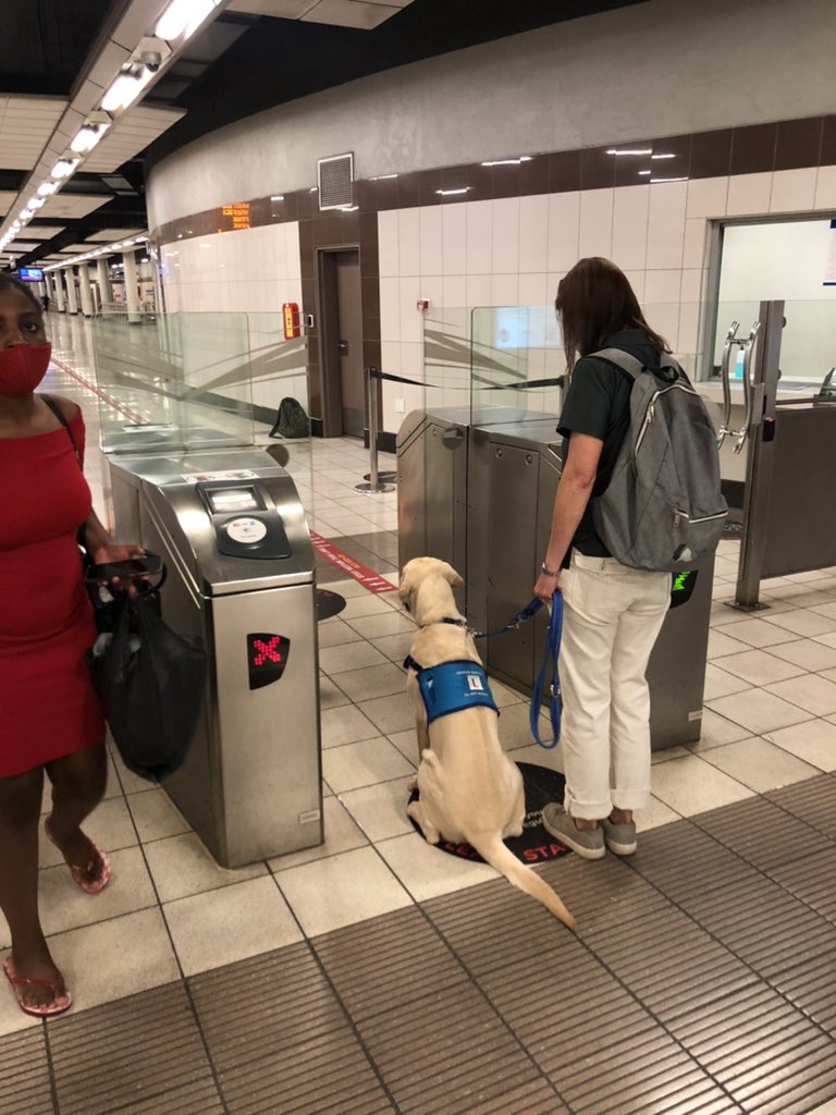 TheGautrain's tweet image. Gautrain is proud to announce that we are an official training partner for the @SAGuide_Dogs  🐾 ⭐️ 🙌#FutureGuideDogs #ProudPartner