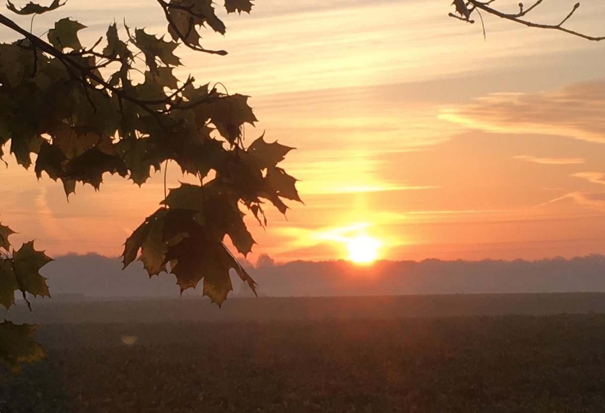 RosieP4's tweet photo. The countryside where a land promoter still wants to build 15,000-home Monks Wood new town. Probably hoping for new settlements to be allowed under NSIP regime as per White Paper suggestion? Not green belt. Should be AONB @TonyJuniper @Nick_Unsworth @ColneStour @R4BDg @JoBeavis https://t.co/5DOD9xb2Pd