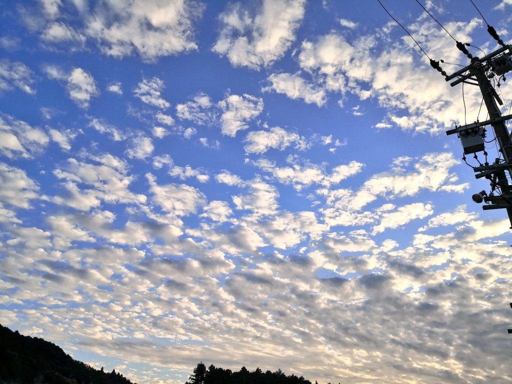 今日の雲が可愛すぎてソラヨミ散歩してきたっ 高積雲 ひつじ雲 や それよりも空の低いところにできる層積雲が見られました 高積雲は中層雲のひとつで 巻積雲より粒が大きくやや灰色に見えて 輪郭がはっきり 層積雲は下層雲で 厚みがあり太陽を隠す