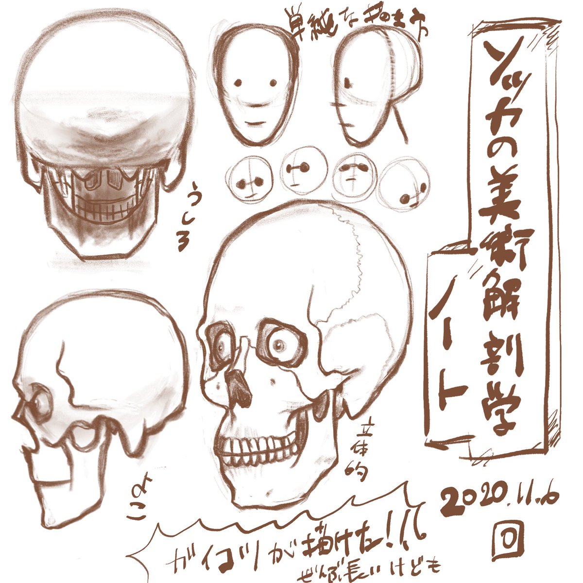 高い品質 ソッカの美術解剖学ノート