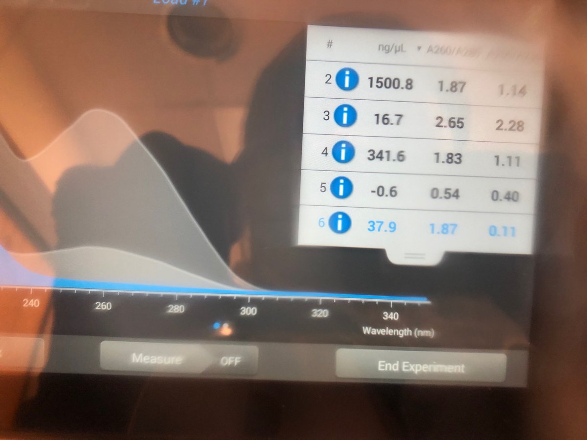 PPhinders's tweet photo. We recently performed DNA extraction! We tested the purity of the phage; I had a pretty average concentration of DNA which was 37.9 ng/microleters. However my phage was purity was pretty decent with a number of 1.87. https://t.co/sJH7kub3au