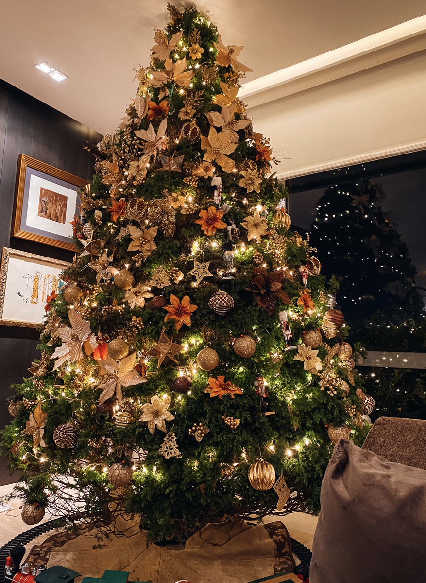 valeriabaroni's tweet photo. Hola Navidad 🎄 https://t.co/r6uqglp9pB