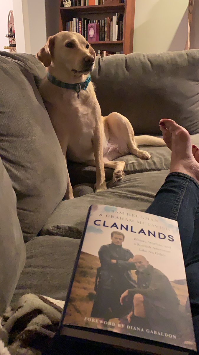 Tbobbs's tweet image. Me: I need a distraction from this election. Amazon: Here you go. #tinypupdoesnotlikesharingspotlight #delayedshipment #worththewait #bookclubisreadytotakethistrip @SamHeughan @grahammctavish @Writer_DG