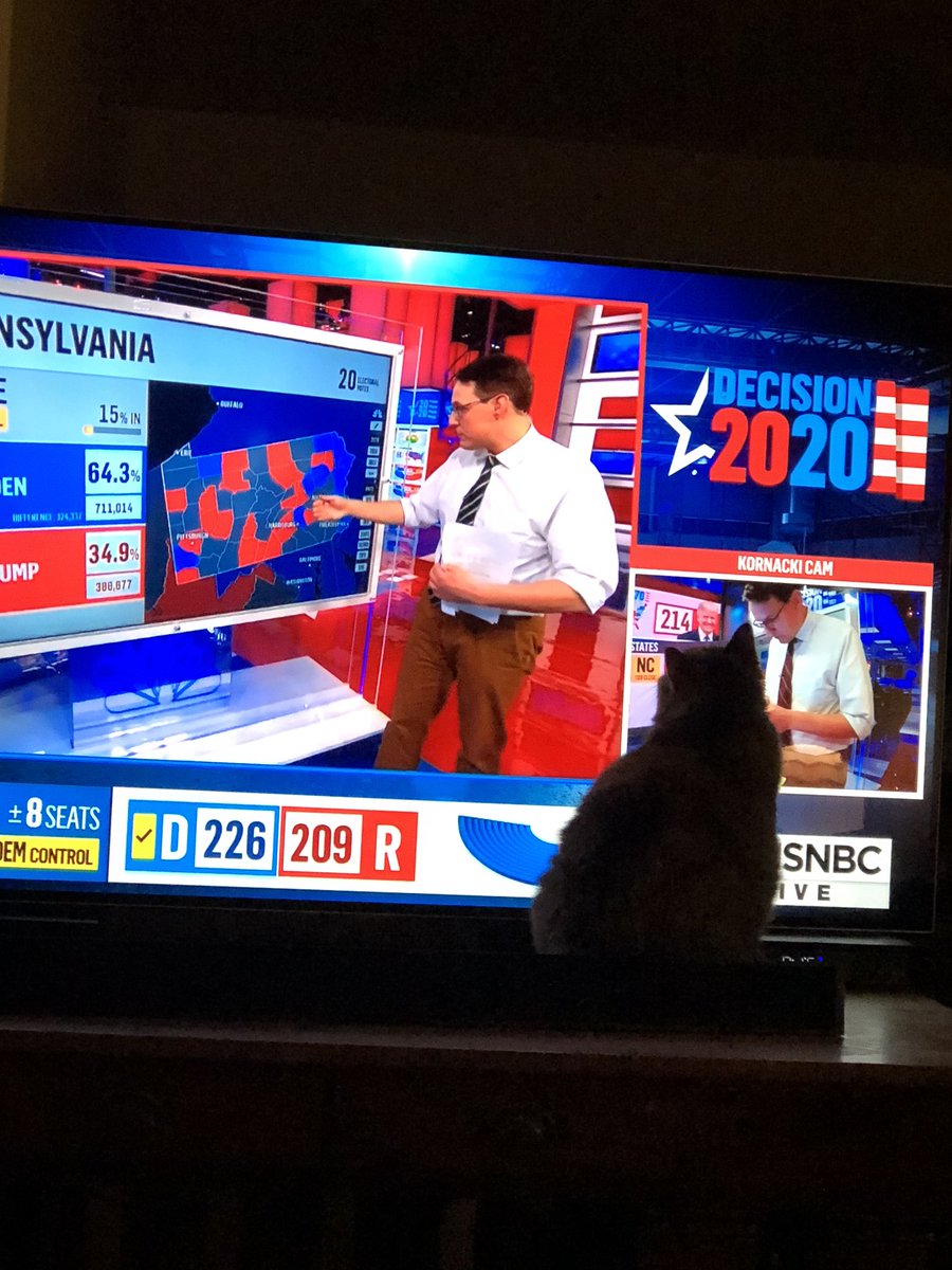 Kitty hooked on <a href="/SteveKornacki/">Steve Kornacki</a> Kornacki Kam.